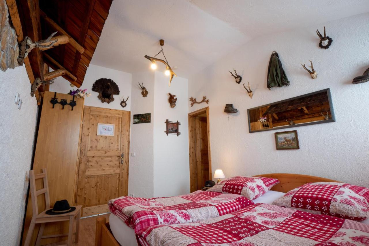 Almhaus Dachsteinblick Am Feuerkogel Villa Ебензее Екстериор снимка