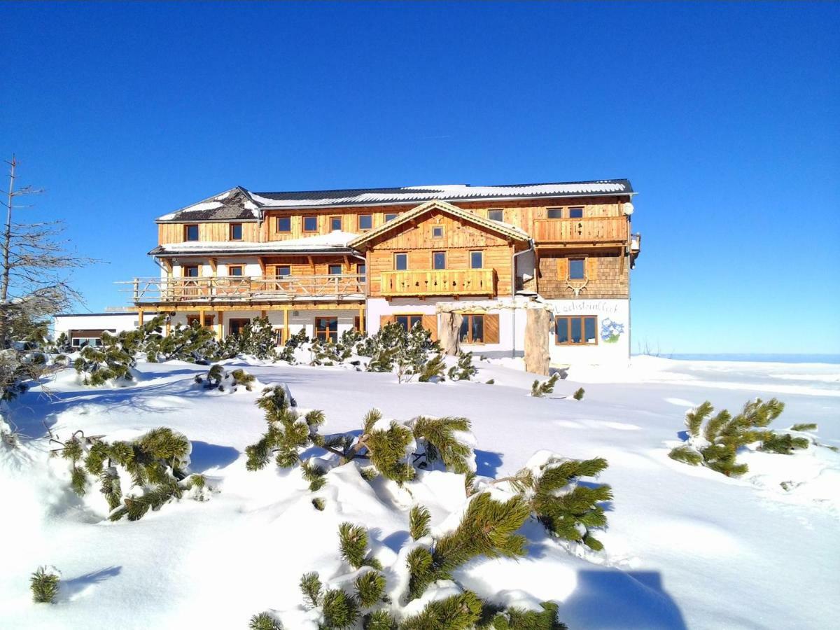 Almhaus Dachsteinblick Am Feuerkogel Villa Ебензее Екстериор снимка
